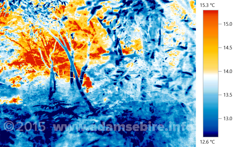 Infra-red thermal imaging 683