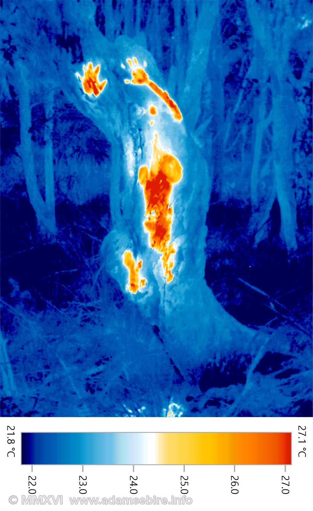 Anthropogenic warming — thermographic photo IR001711