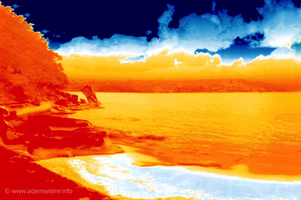 Infrared Thermal Landscape IR001466