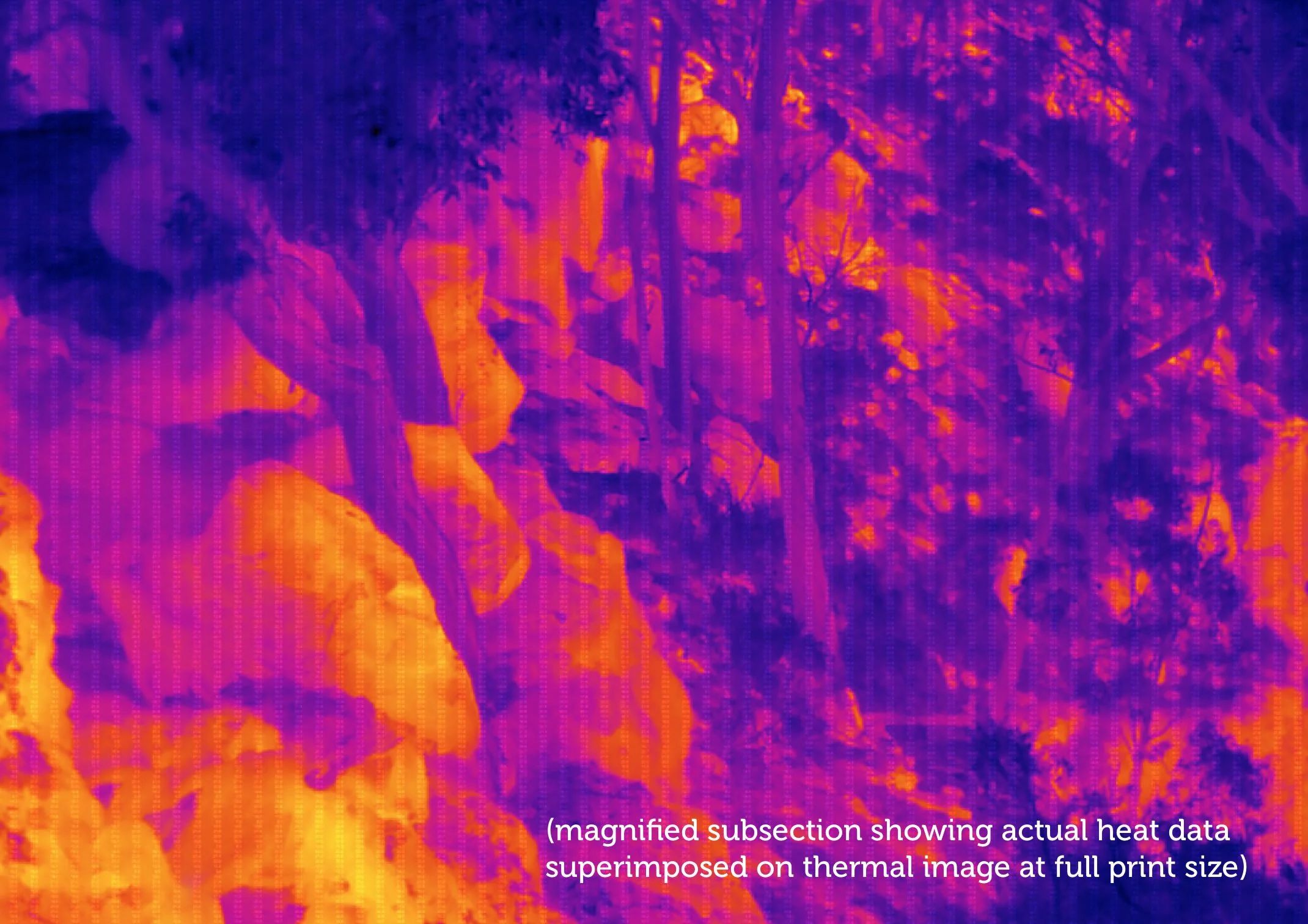 IR001251-62 (enlarged)