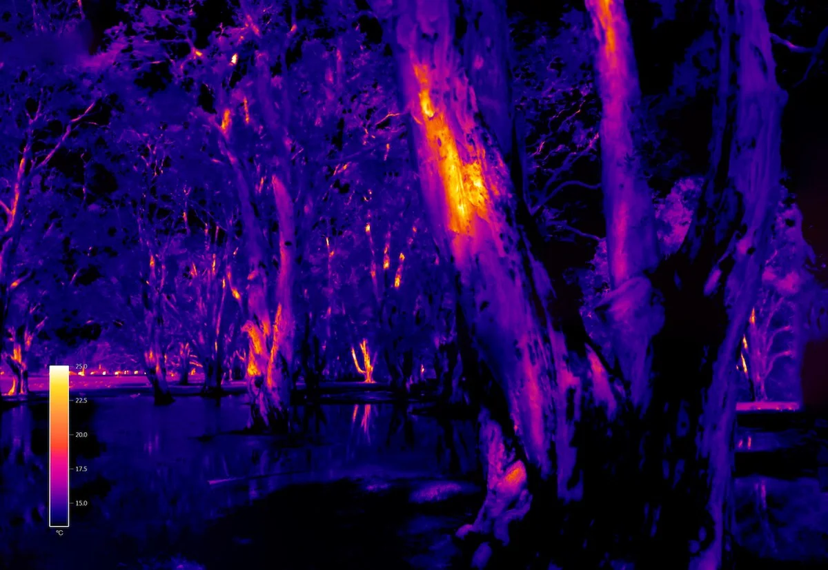 IR001354.jpg