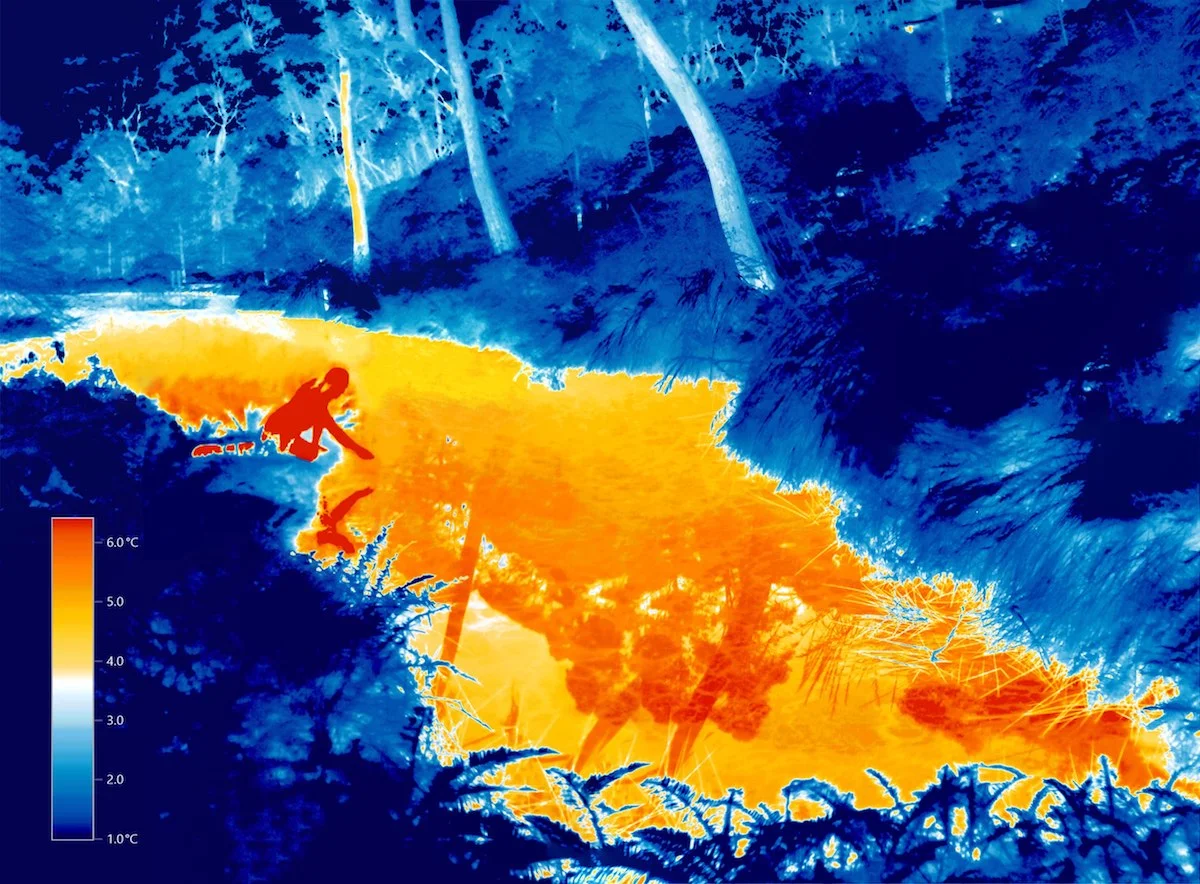 IR00662-665.jpg