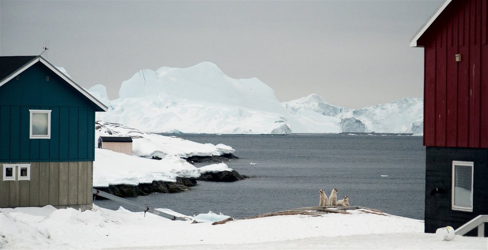 Greenland — ever-thinning ice makes using sledge dogs less and less practical