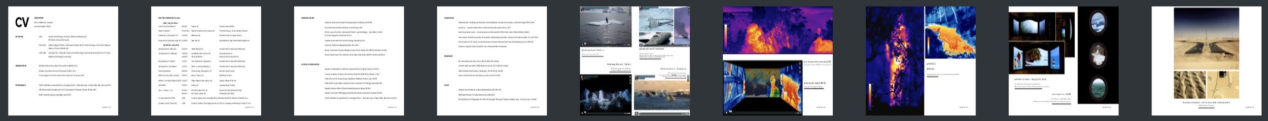 Adam Sébire Artist CV-Résumé: PDF Format (6MB)