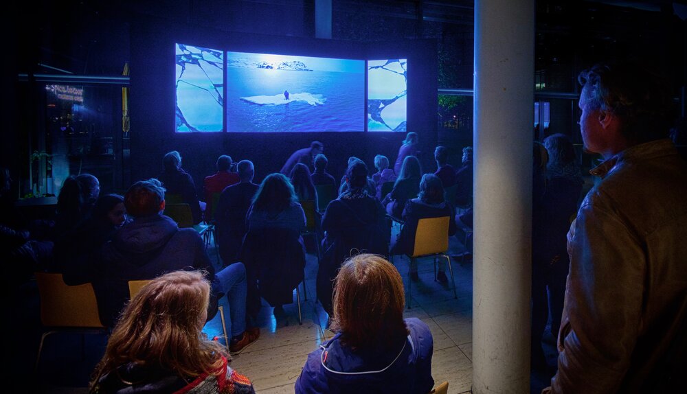 World première (sea ice video triptych) at Max Planck Institute, Munich, October 2019