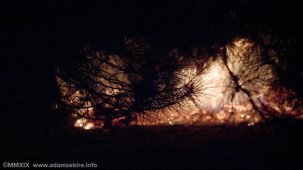 Bushfires and climate change.jpg