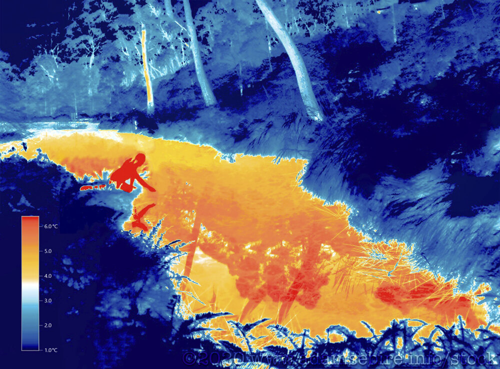 SEBIRE - HEAD ON - Thermographic Narcissus by the Reflecting Pool.jpg