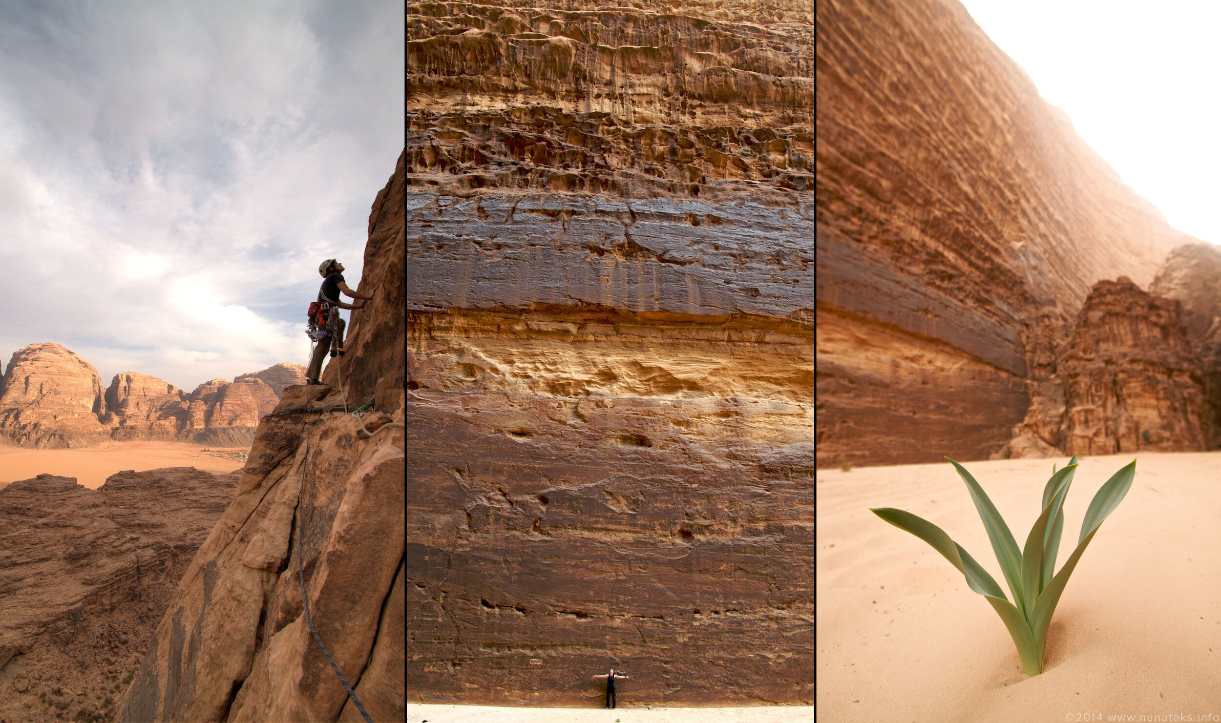 Ochre Triptych