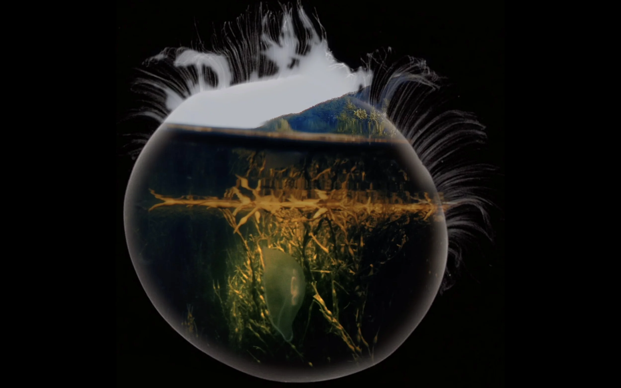 The (Digital) Dynamic Square : circular videos &amp; other screen shape experiments