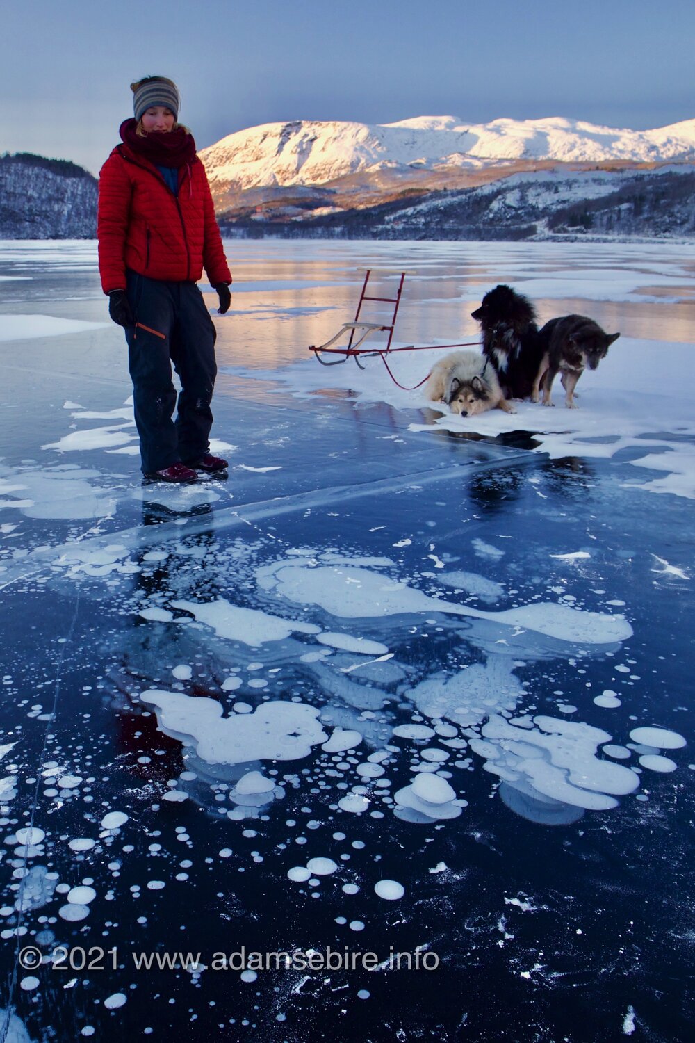 Methane Bubbles in Frozen Arctic Lake Ice