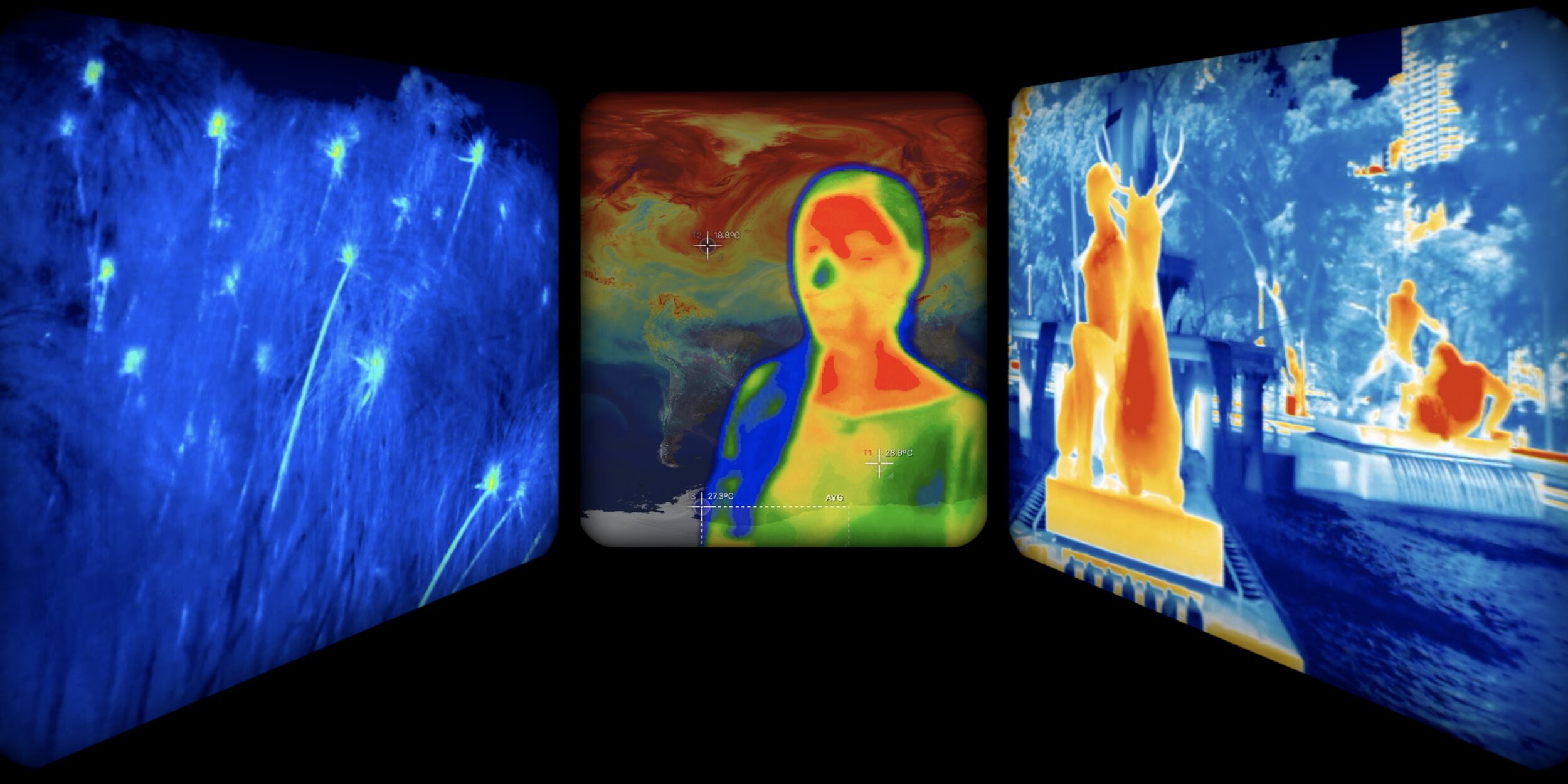 Thermographic video art