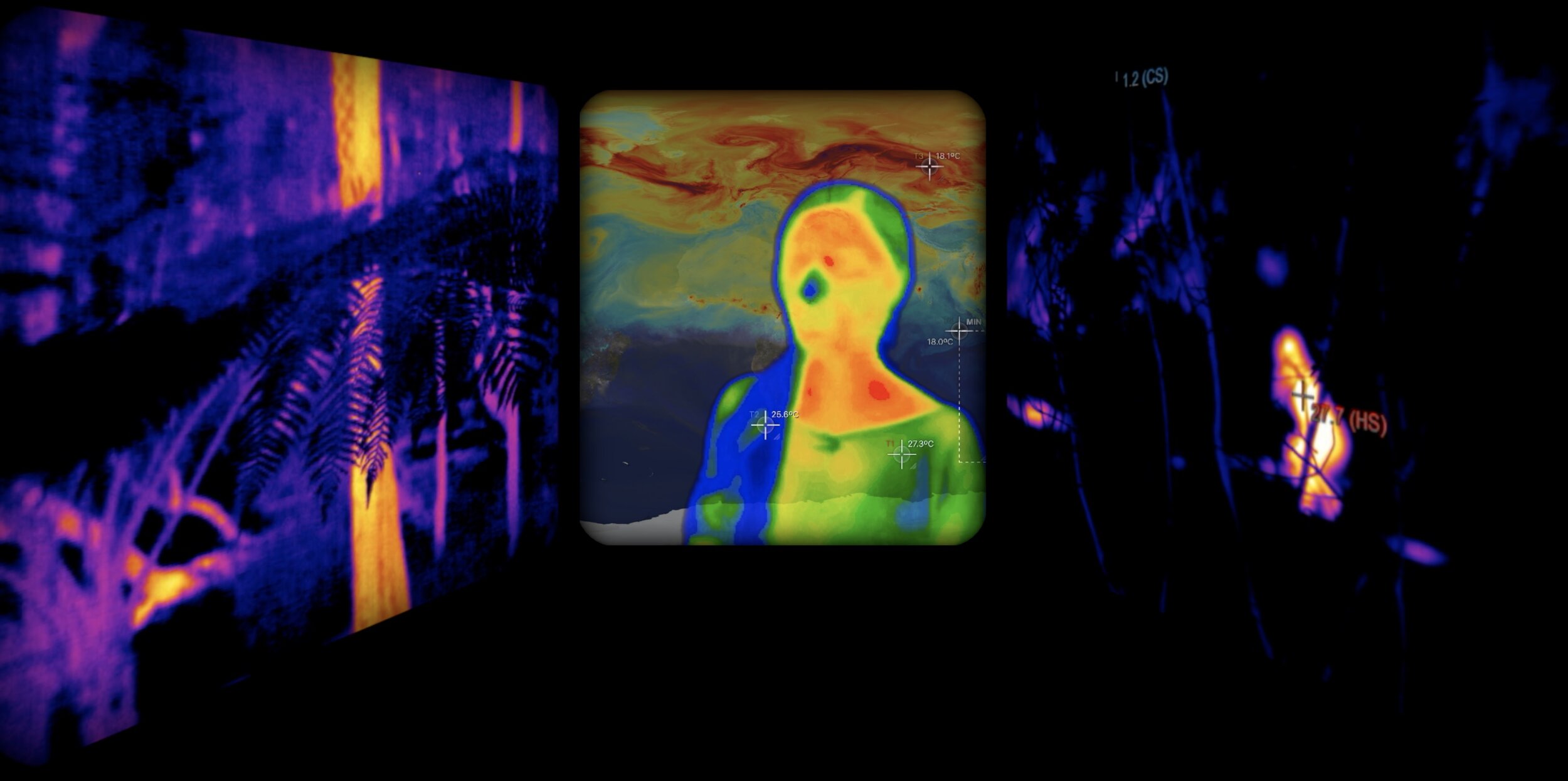 Thermal imaging video