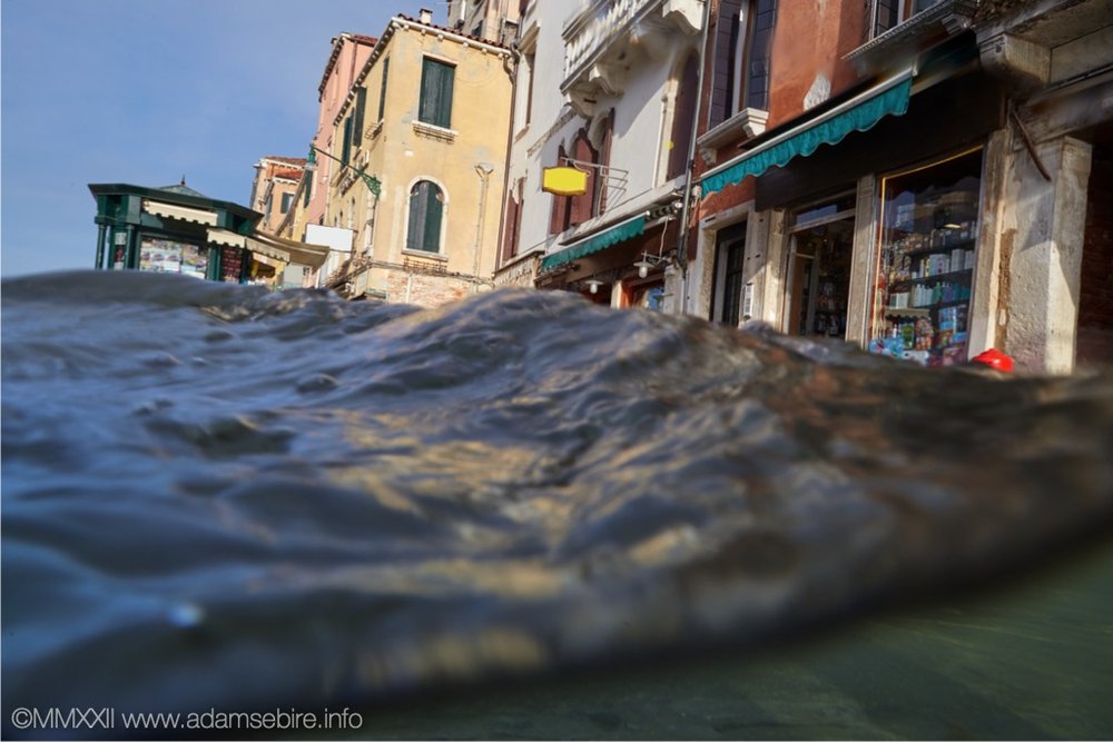 venice submerged.jpg