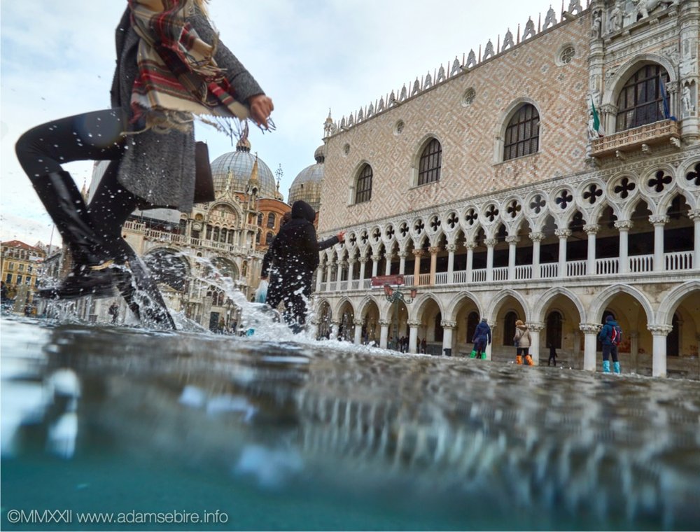 venice high tide flooding.jpg