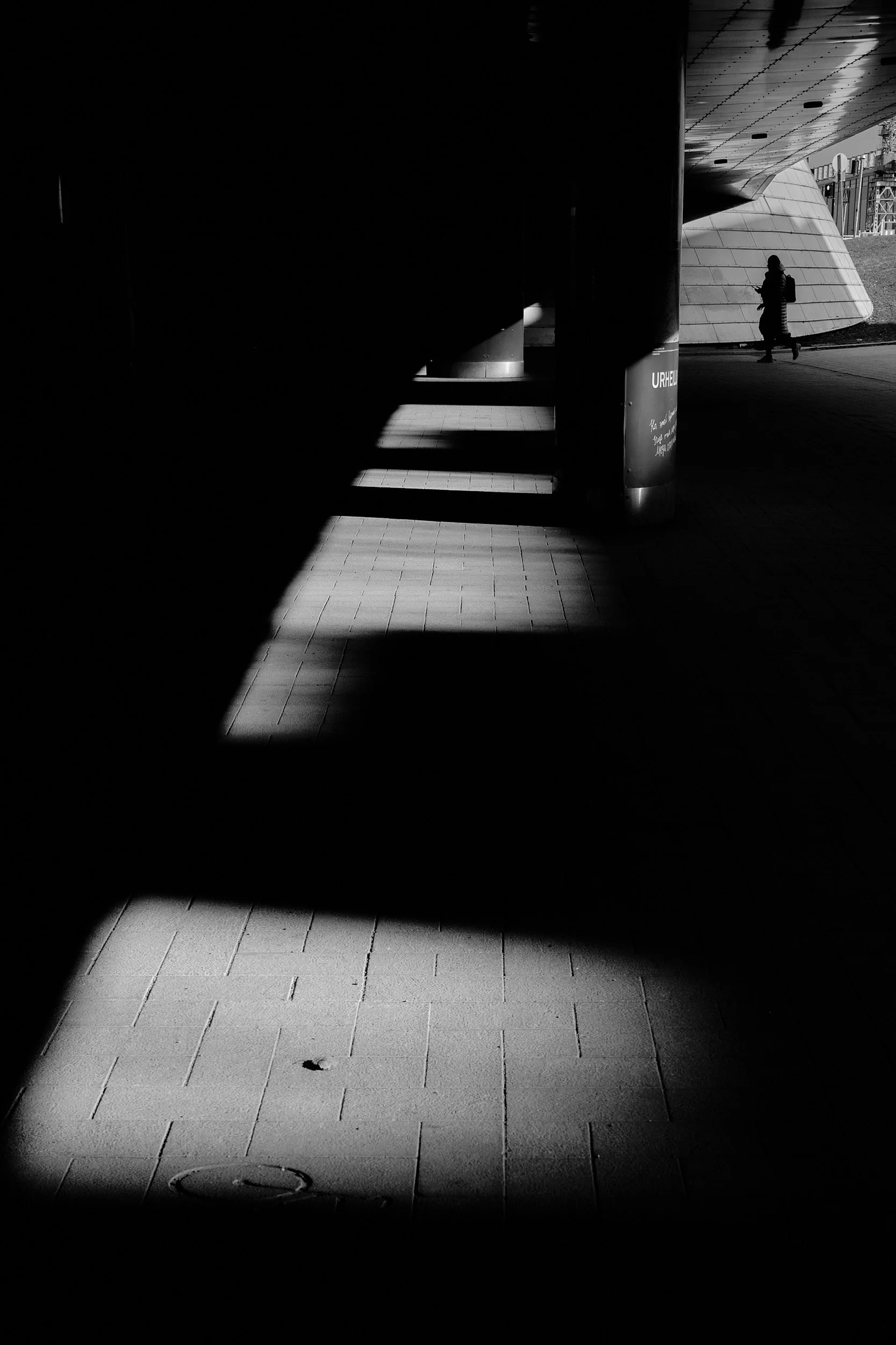 LL_20260428_6879.jpg