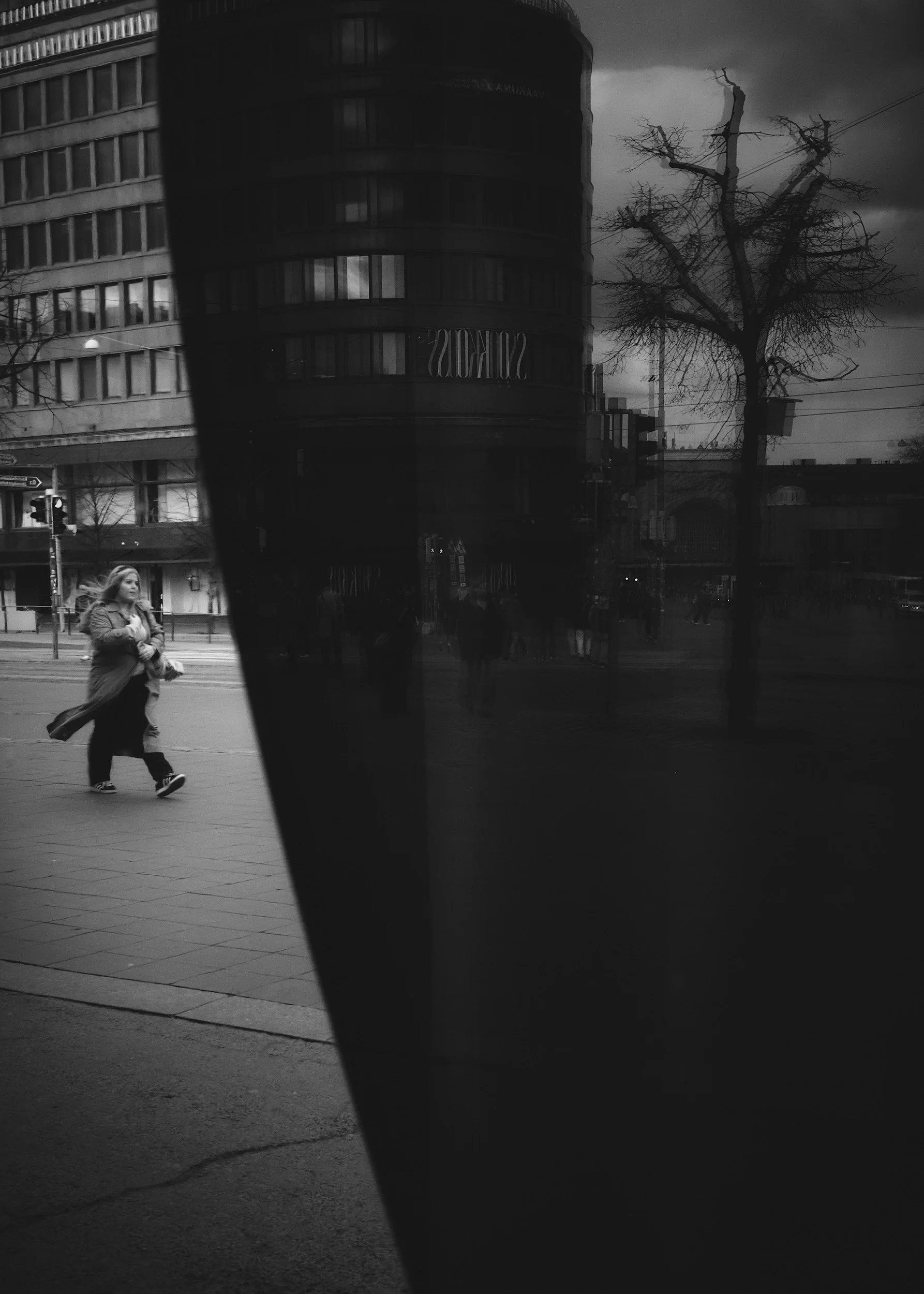 LL_20260428_6922.jpg
