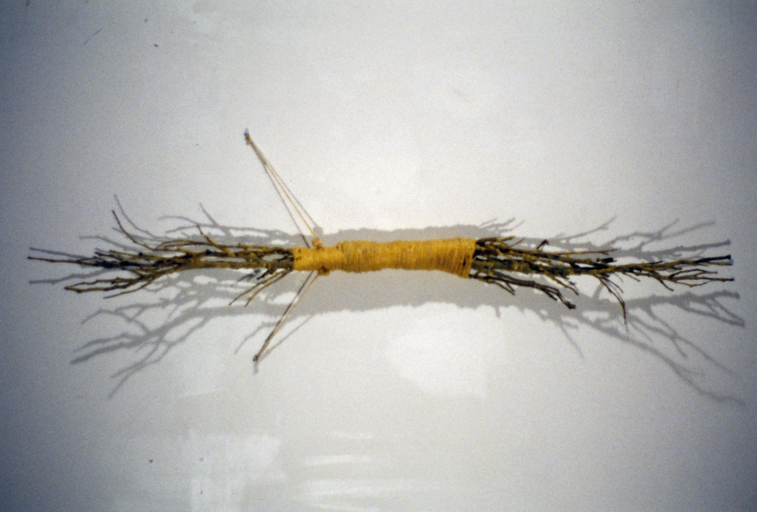Sleeve02-013.jpg