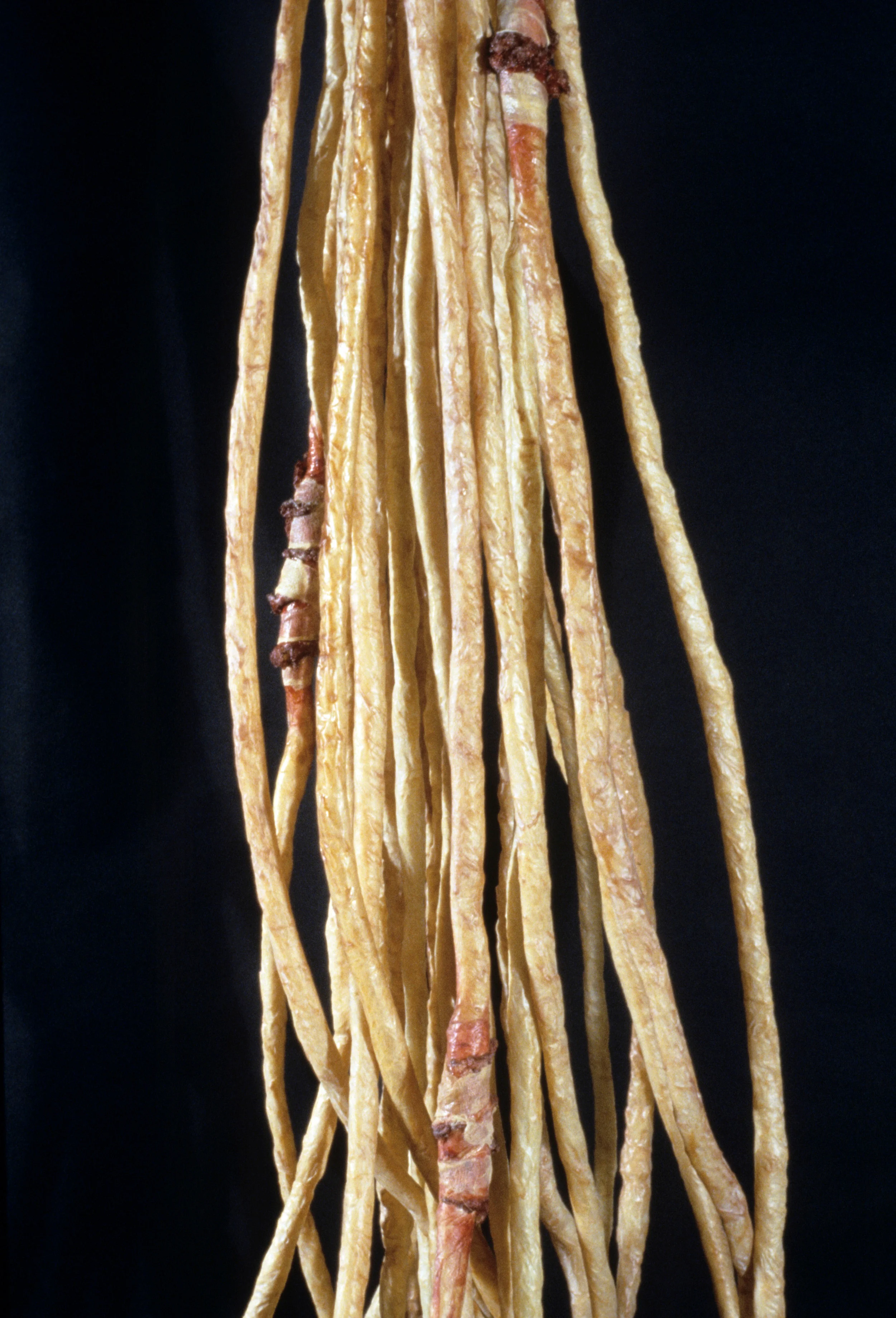 Sleeve05-002.jpg