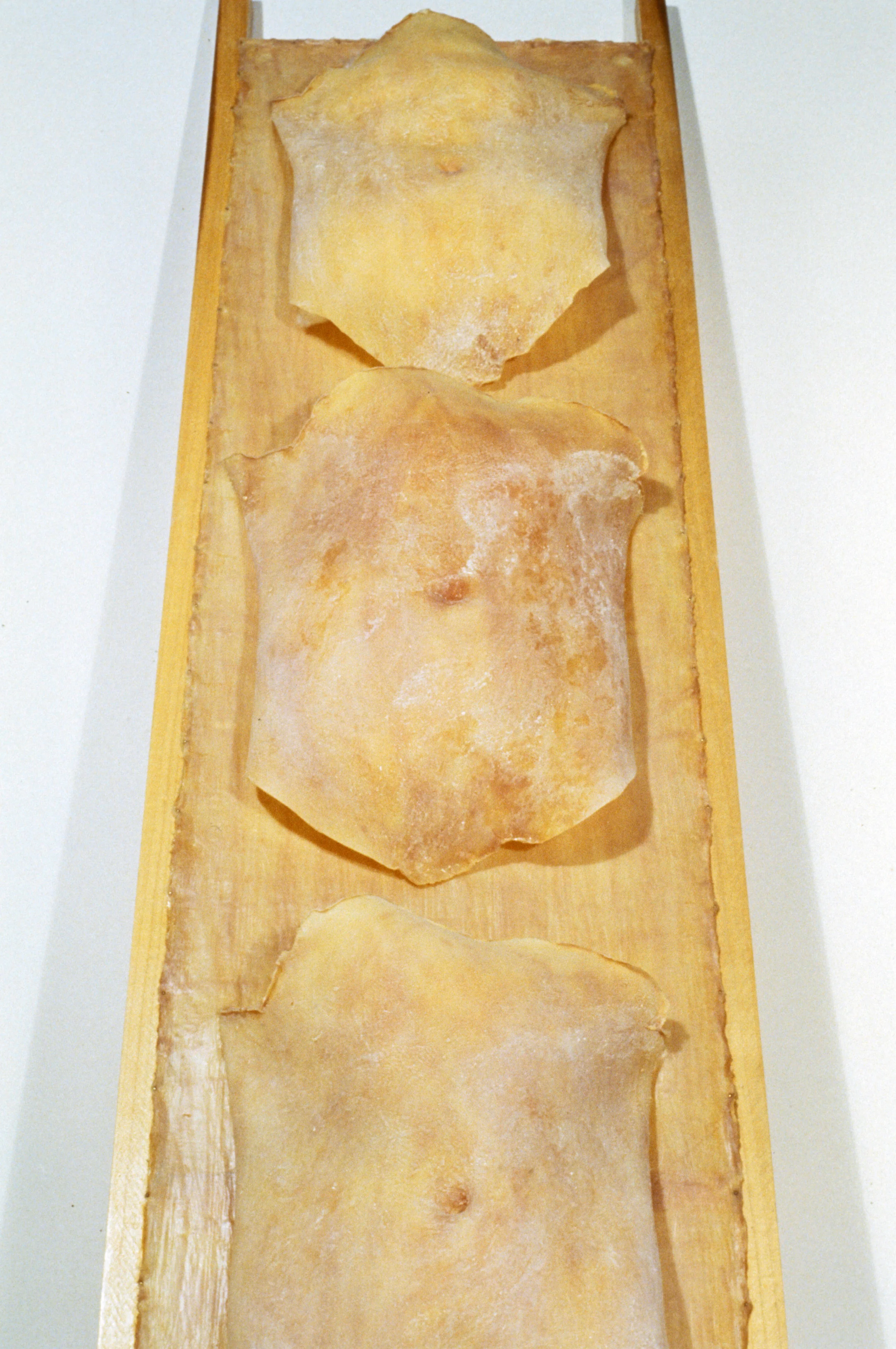Sleeve05-016.jpg