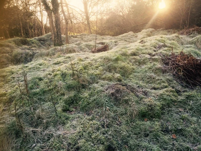 Beautiful morning light on the mendip fotpath