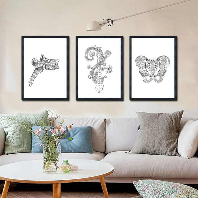 Csigolya, gerinc, medence