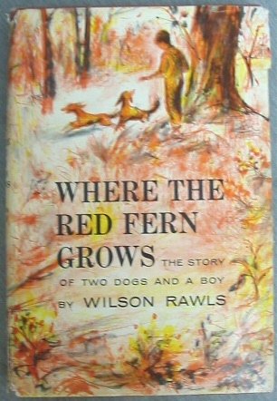My mom originally read this book to me to teach me the value of hard work since the main character earns the money for his two dogs all by himself. Obvious lessons aside, Little Ann and Old Dan were fiercely loyal and protective, basically everything I wanted in the dog I never got to have.