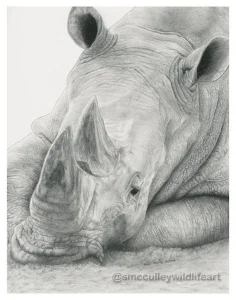 rhino 2013 for site.jpg
