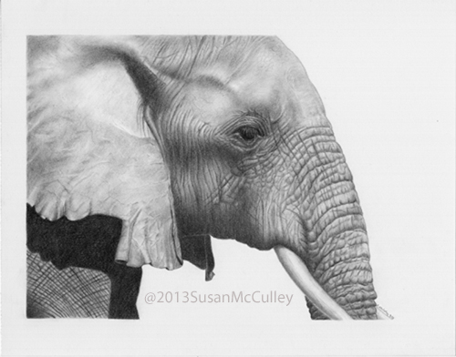 Card 4 34 x 6 12 Elephants A pen and ink on scratchboard drawing of an elephant with a baby elephant