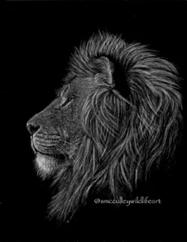 scratchboard lion 2018.jpg