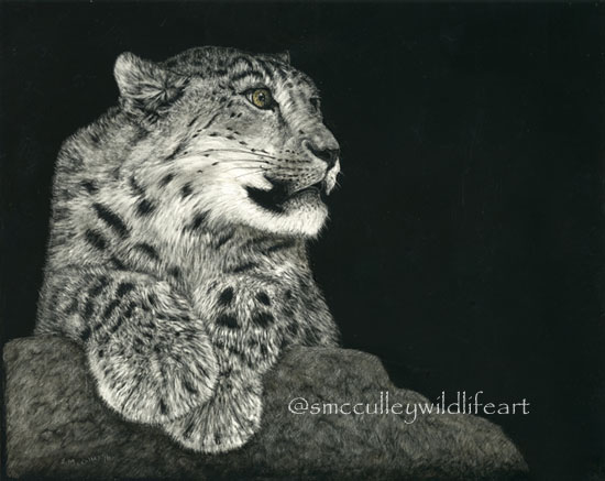 Snow Leopard