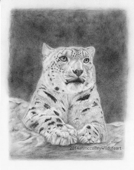 Snow Leopard