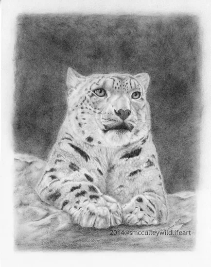 Snow Leopard
