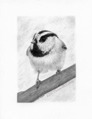 Chickadee