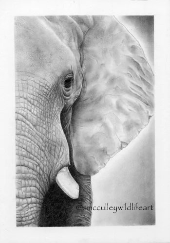 “I dream of Africa” African Elephant (vertical) paper size 8 x 10 and 11 x 14