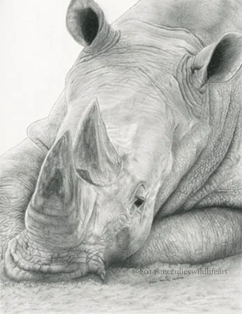 White rhinoceros paper size 8 x 10 and 11 x 14
