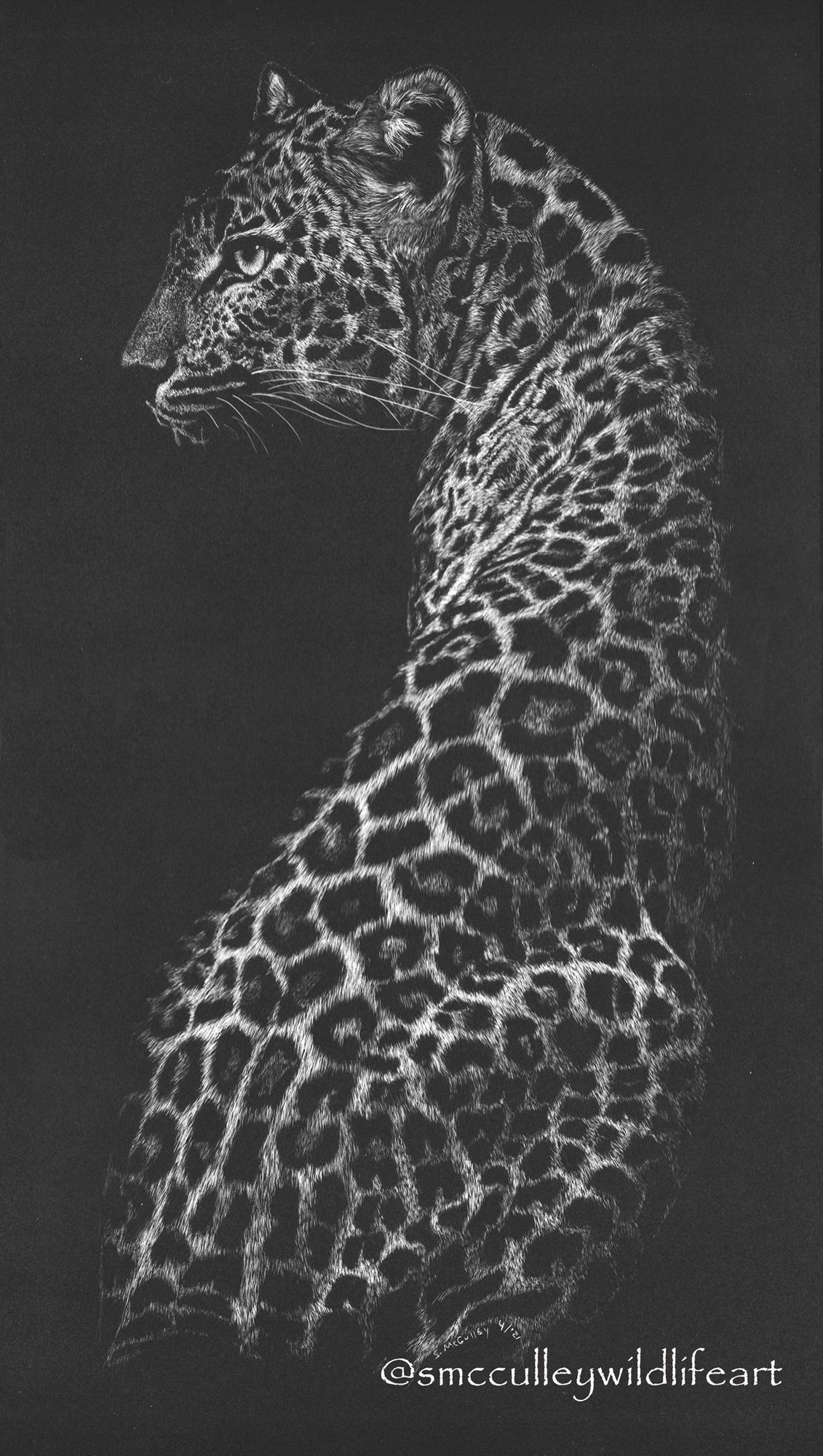 Sri Lankan Leopard