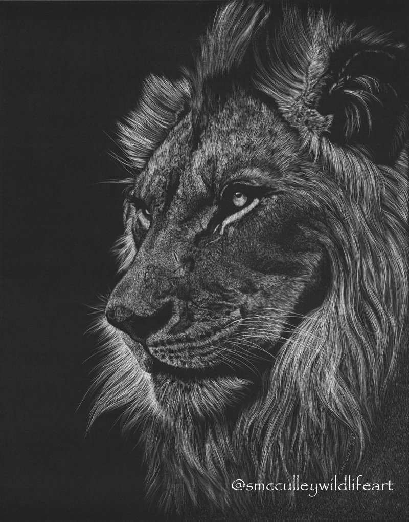 "Strength in Scars" (African lion)