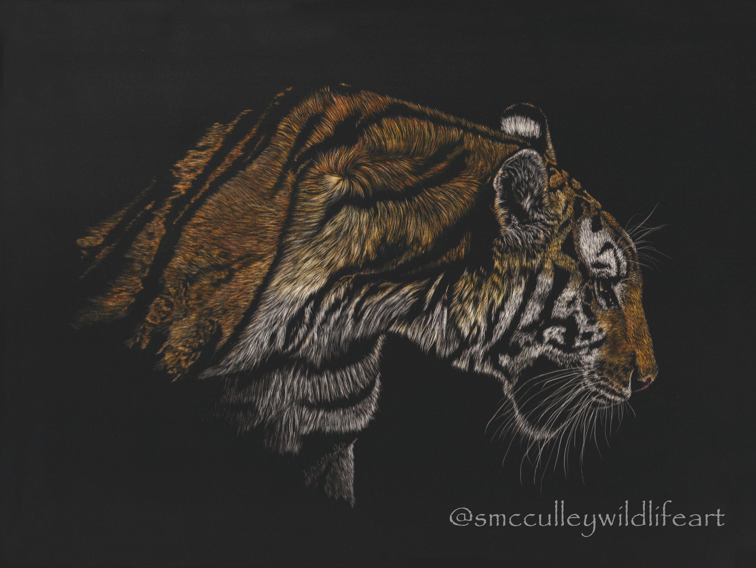 "On the Prowl"