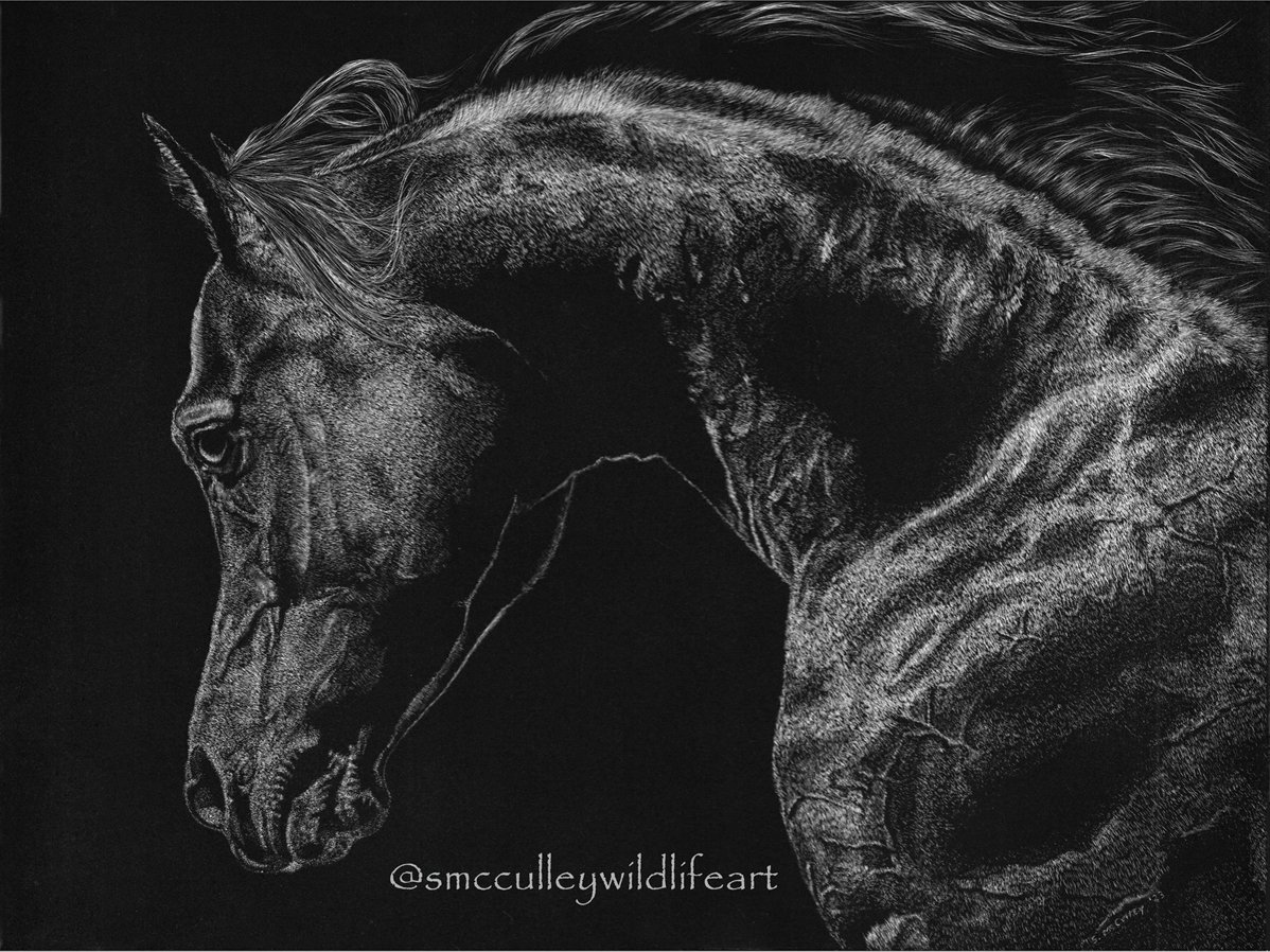 "Majestic"