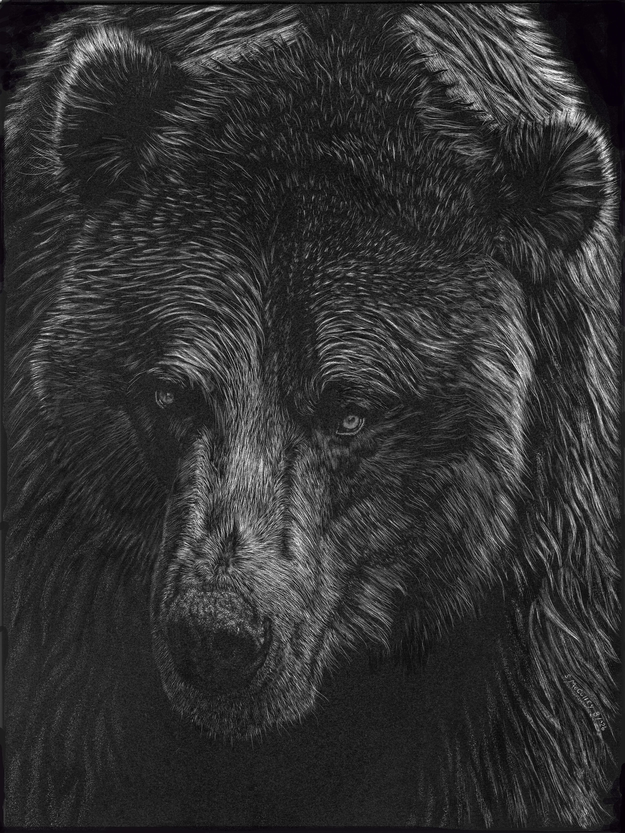 Spirit of the Woods