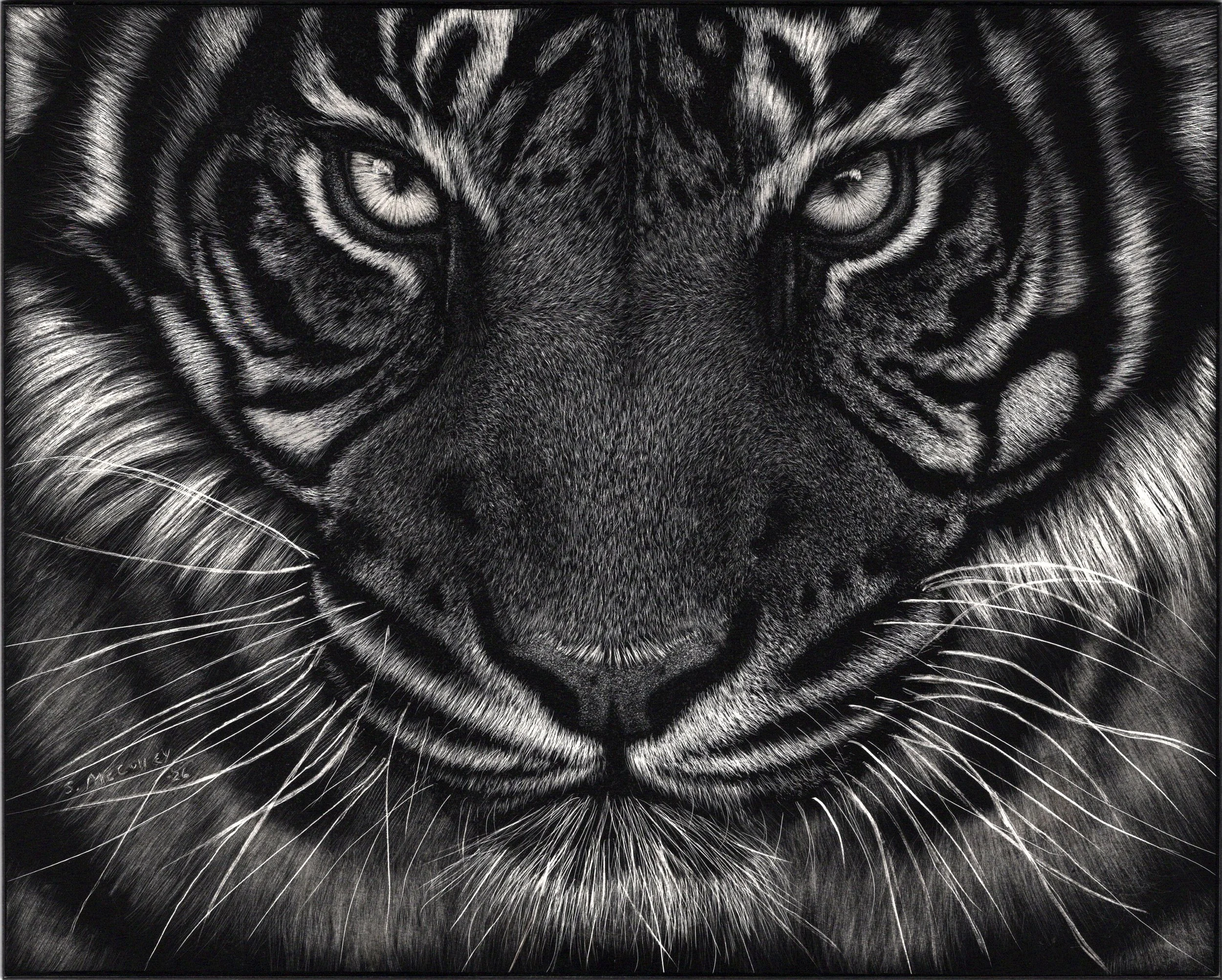 Eyes of Sumatra