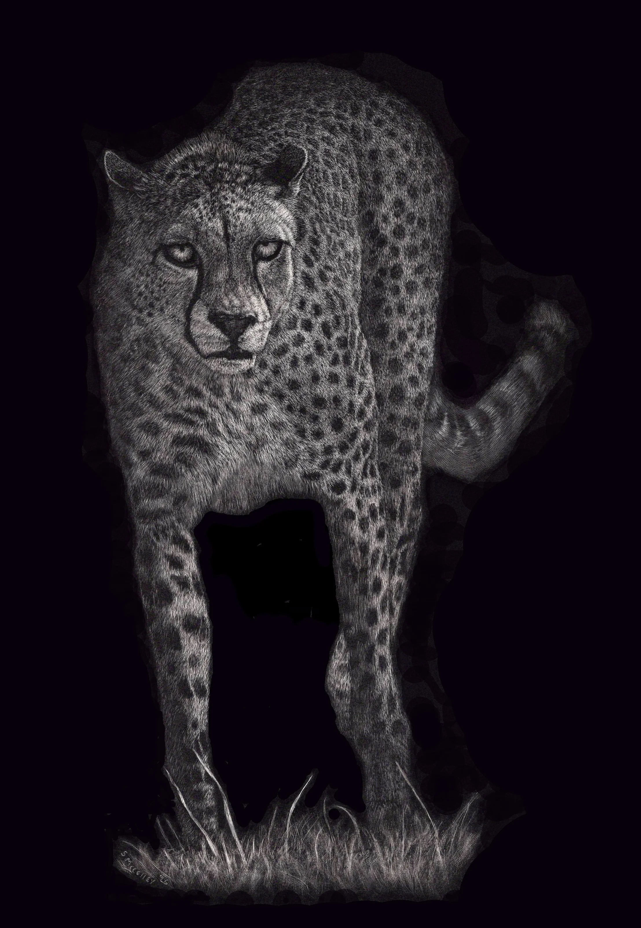 Into the Light