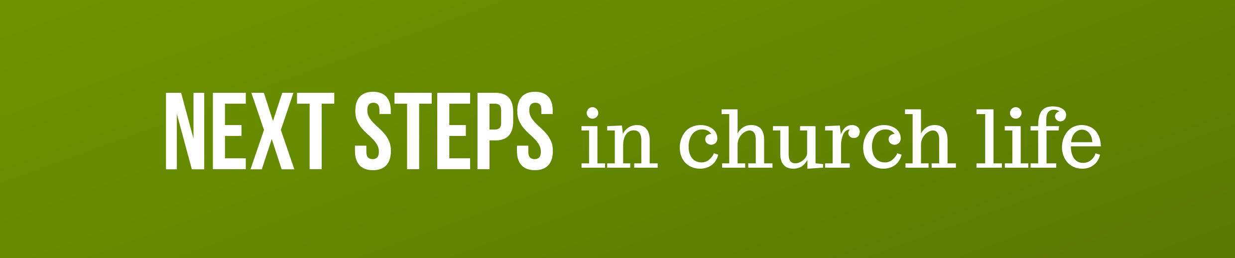 NEXT STEPS Church Life Banner (2).png