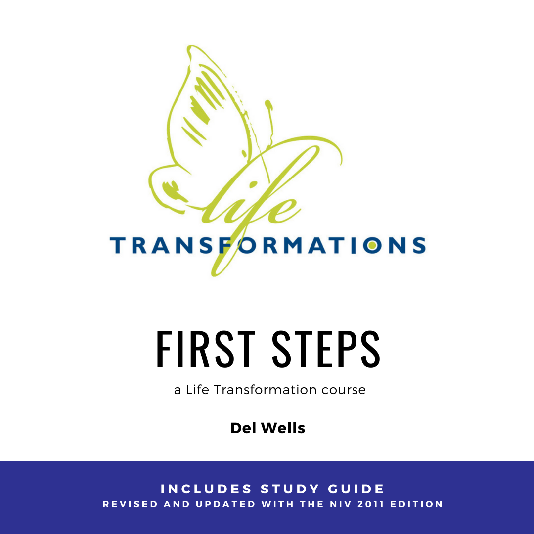 First Steps - PDF Web Icon.png