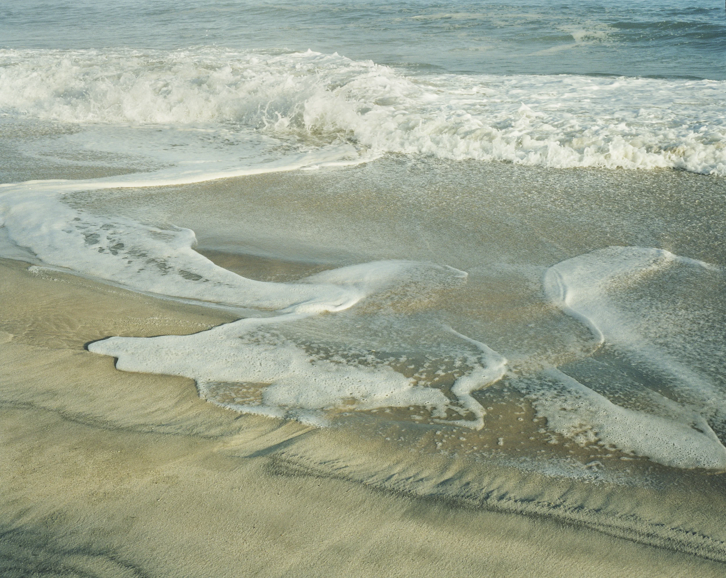 Swoosh Spring 2006.jpg