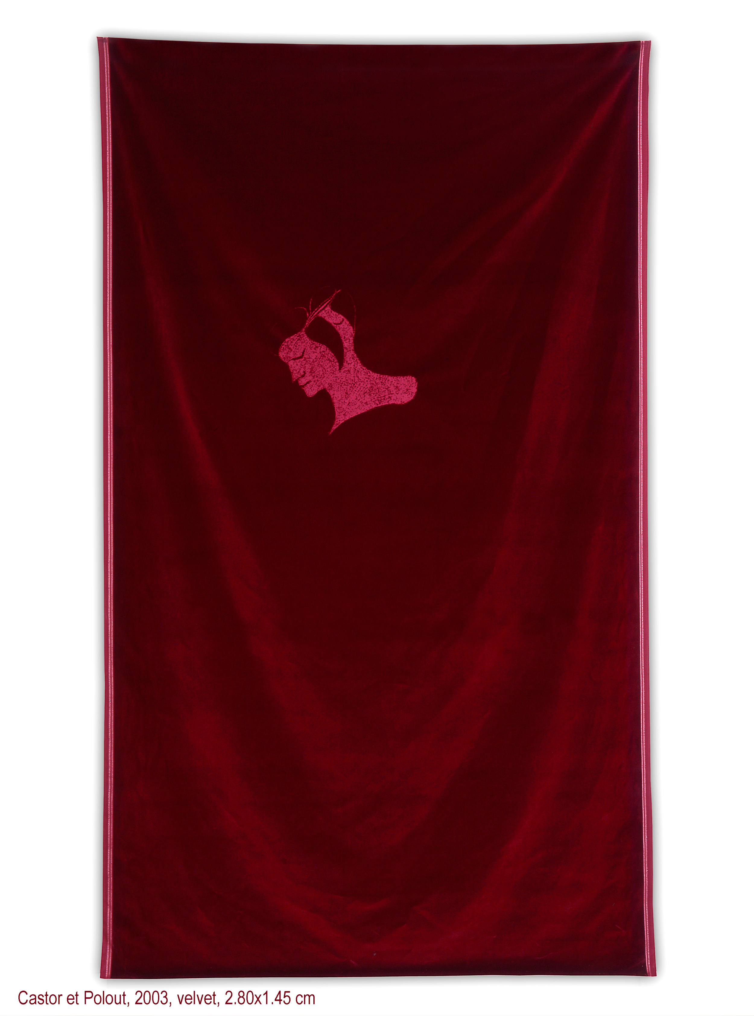 Maro Michalakakos Castor et Poulou 2003 Velvet 112 x 56 inches