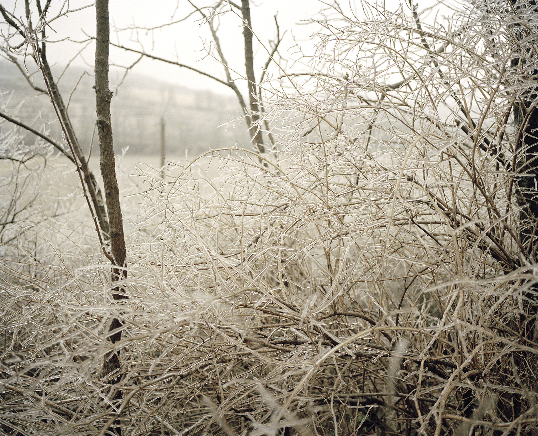    Ice Storm, Between the Thruway and Erie Canal Trail, Fultonville, NY.   , 2007    Ink jet print, edition of 5 + 2AP    16 x 19 inches  