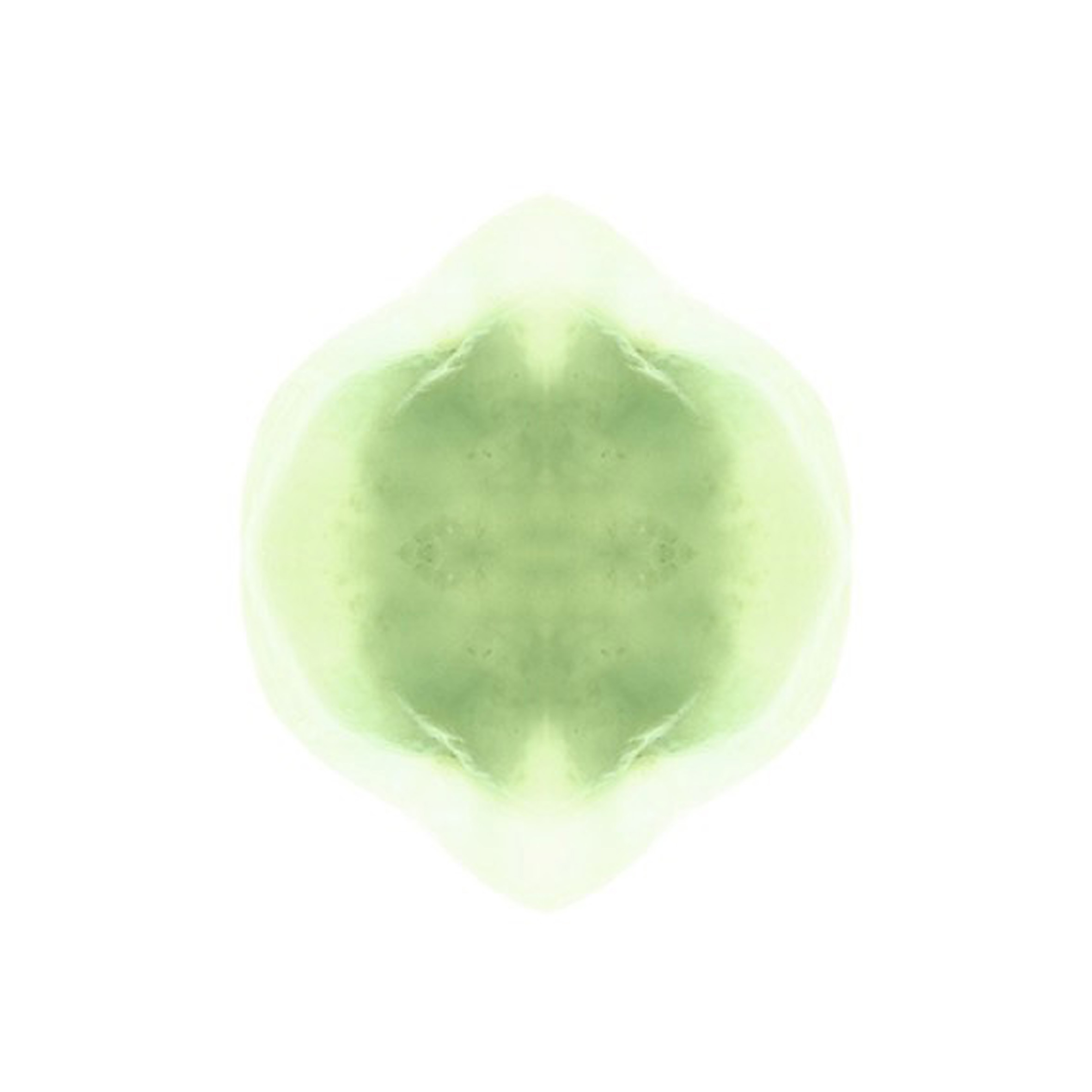 Susanne Ramsenthaler Parent RU, Strain 4C-62-1, 2006 inkjet print; 24 x 24 inches