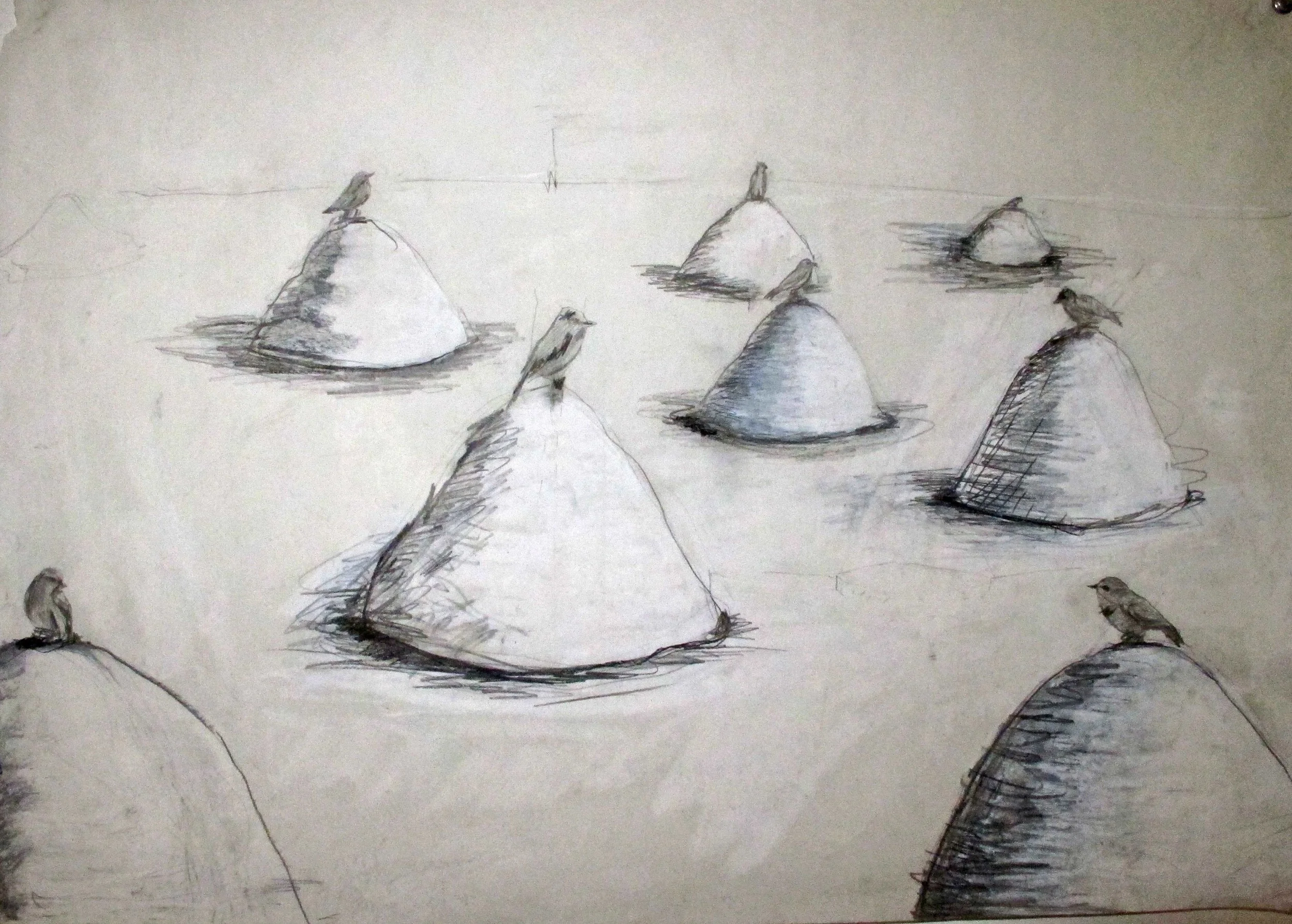 Jennifer Odem Bird Mound Study , 2008 Pencil on vellum paper 15 x 21 inches