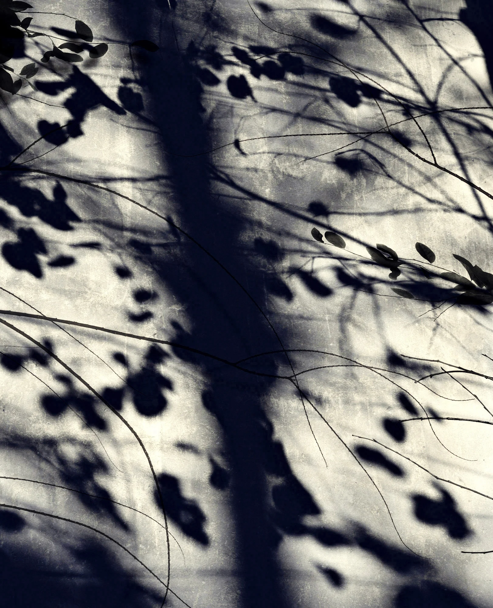 1 (from Ombres II).jpg